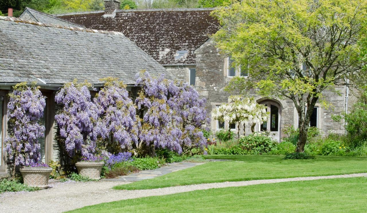 Cider House Yelverton Bagian luar foto